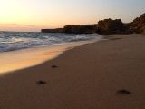 Foto: Oman: the Native Shore of Turtles